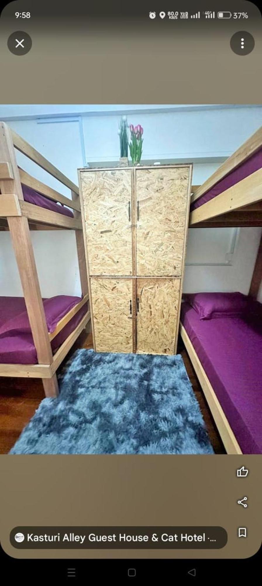 Spot On 90898 Kasturi Alley Guest House & Cat Hotel Malacca Kültér fotó